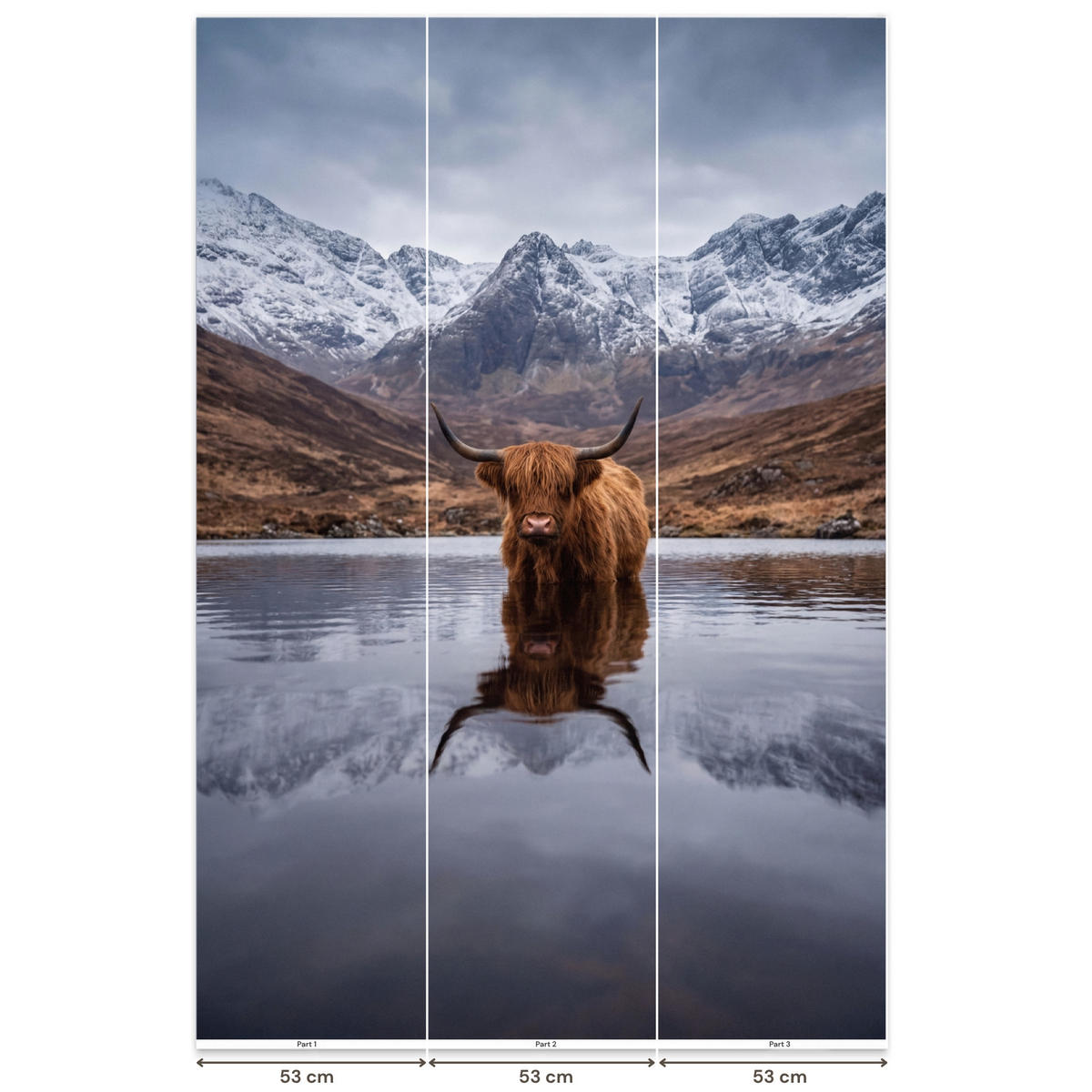 TAPETE - Schottischer Hochländer - Braun - Wasser - 160x240 cm - Braun, Papier (160/240cm) - OnlyWow