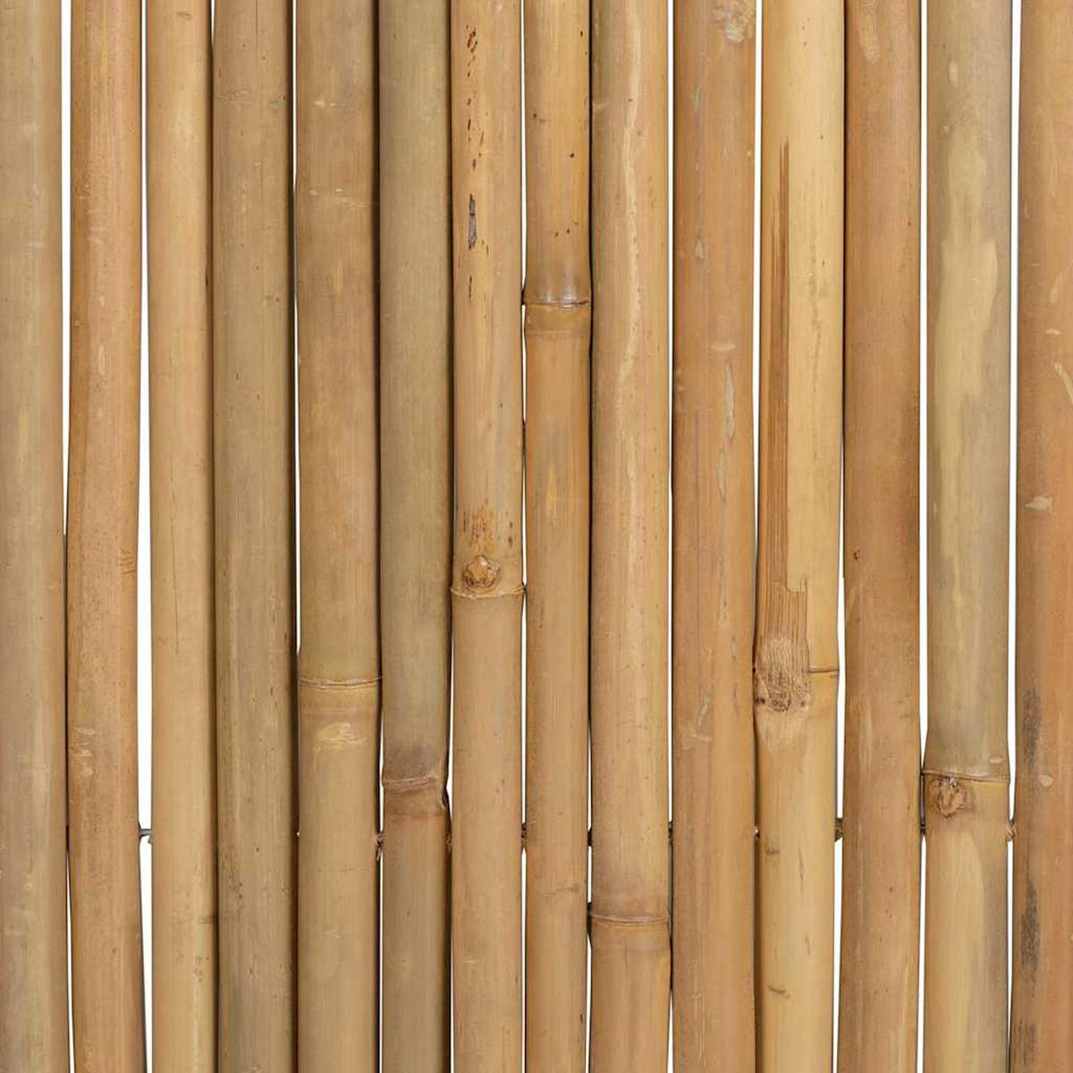 BAMBUSZAUN 180/170 Cm - Braun, Naturmaterialien (180/170cm) - vidaXL