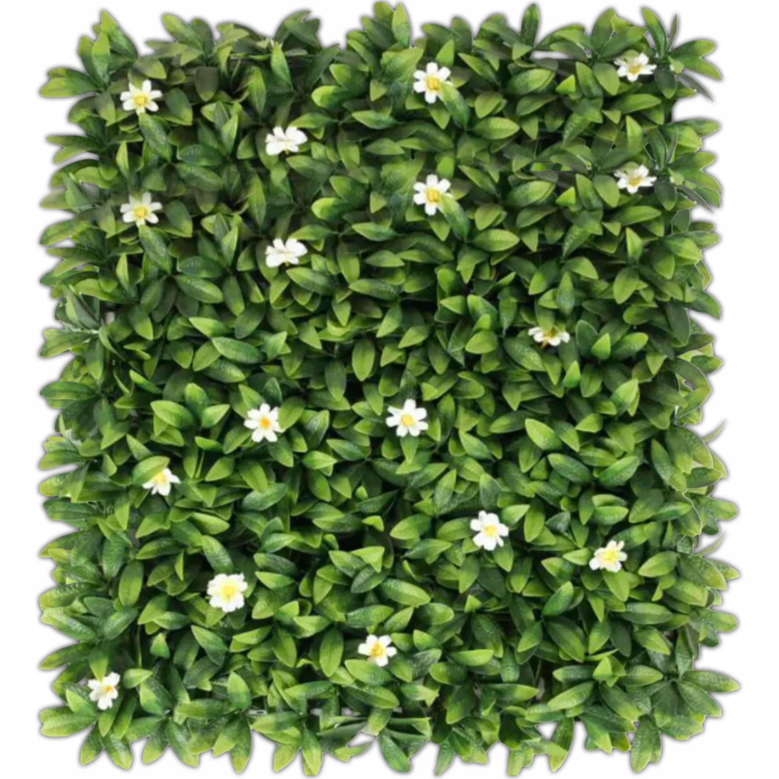 KÜNSTLICHE PFLANZENWAND 60x40cm - Weiß/Grün, Kunststoff (60cm) - KRUMAD