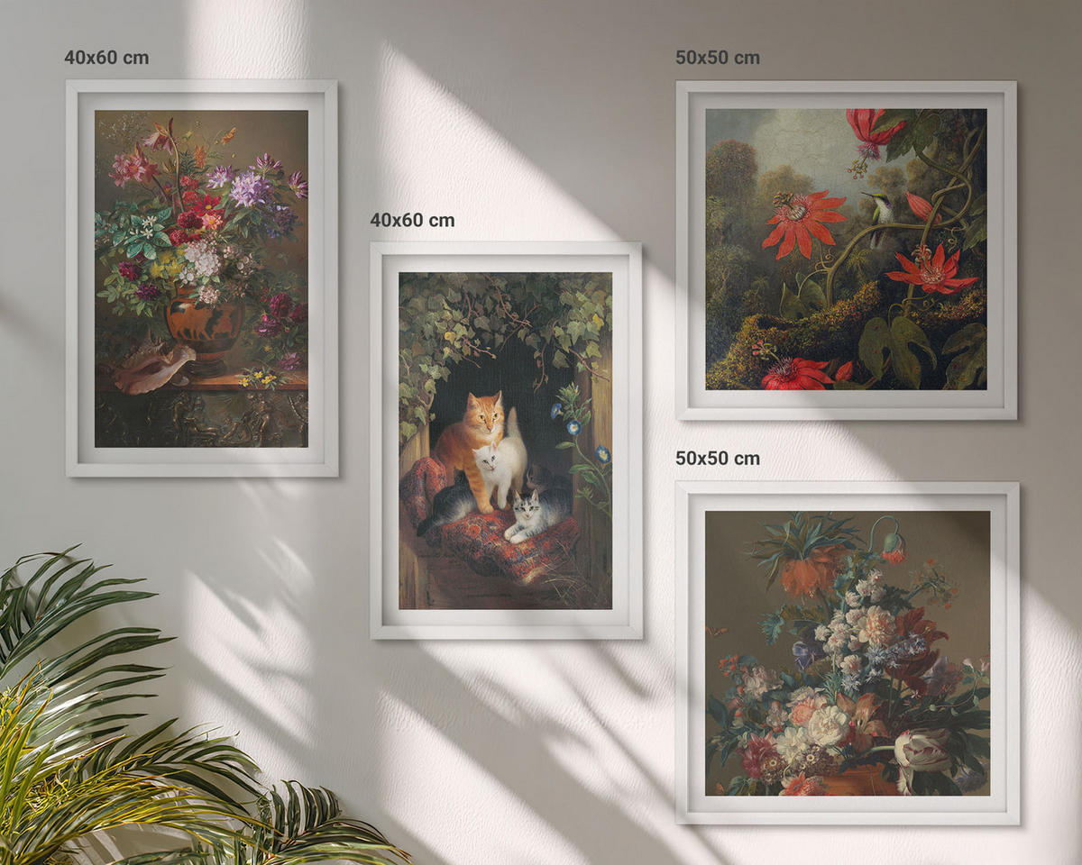 BILDER SET 4er Set - 50x50 cm & 40x60 cm Weißer Rahmen - Vintage-Blumen, Katzen, Pflanzen - Weiß, Kunststoff (50/50cm) - TULUP