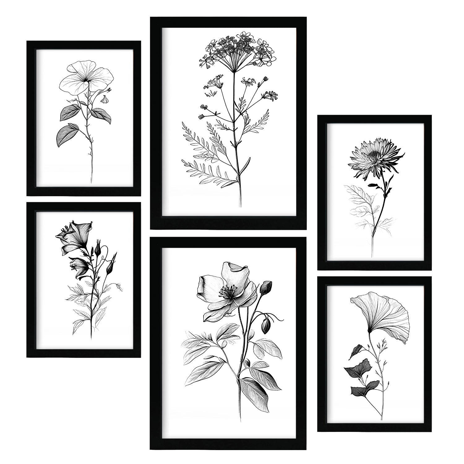 POSTER Set Mit 6 Blühende Blumen Natur Und Botanikdrucke Mit Blumenmotiven In Klassischem Schwarz Und Weiß Innenarchitektur A3 & A4 Schwarzer Rahmen - Schwarz, Papier (29/3cm) - Nacnic