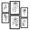 POSTER Set Mit 6 Blühende Blumen Natur Und Botanikdrucke Mit Blumenmotiven In Klassischem Schwarz Und Weiß Innenarchitektur A3 & A4 Schwarzer Rahmen - Schwarz, Papier (29/3cm) - Nacnic