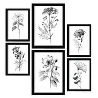 POSTER Set Mit 6 Blühende Blumen Natur Und Botanikdrucke Mit Blumenmotiven In Klassischem Schwarz Und Weiß Innenarchitektur A3 & A4 Schwarzer Rahmen - Schwarz, Papier (29/3cm) - Nacnic