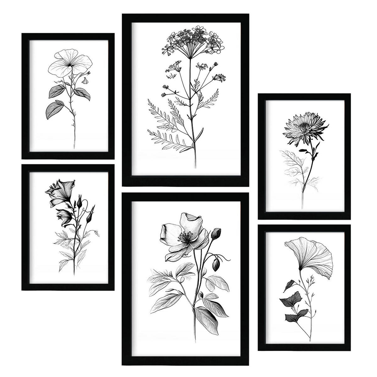 POSTER Set Mit 6 Blühende Blumen Natur Und Botanikdrucke Mit Blumenmotiven In Klassischem Schwarz Und Weiß Innenarchitektur A3 & A4 Schwarzer Rahmen - Schwarz, Papier (29/3cm) - Nacnic