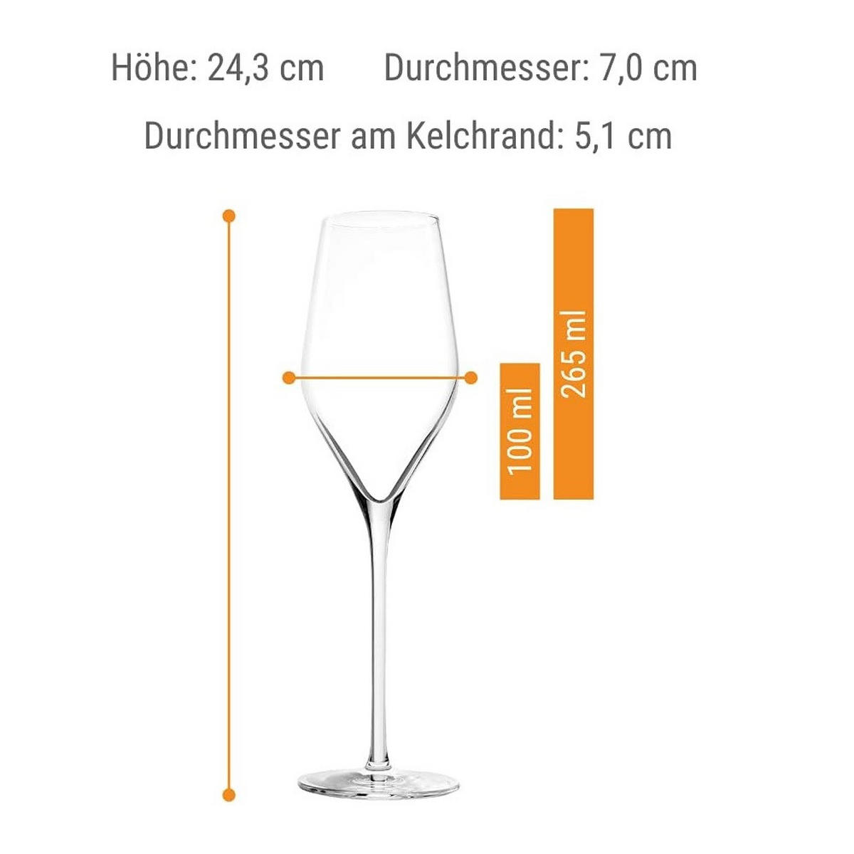 WEISSWEINKELCH Exquisit Royal Champagnerkelche/e Set 12 tlg - Transparent, Glas (0.42L) - Stölzle
