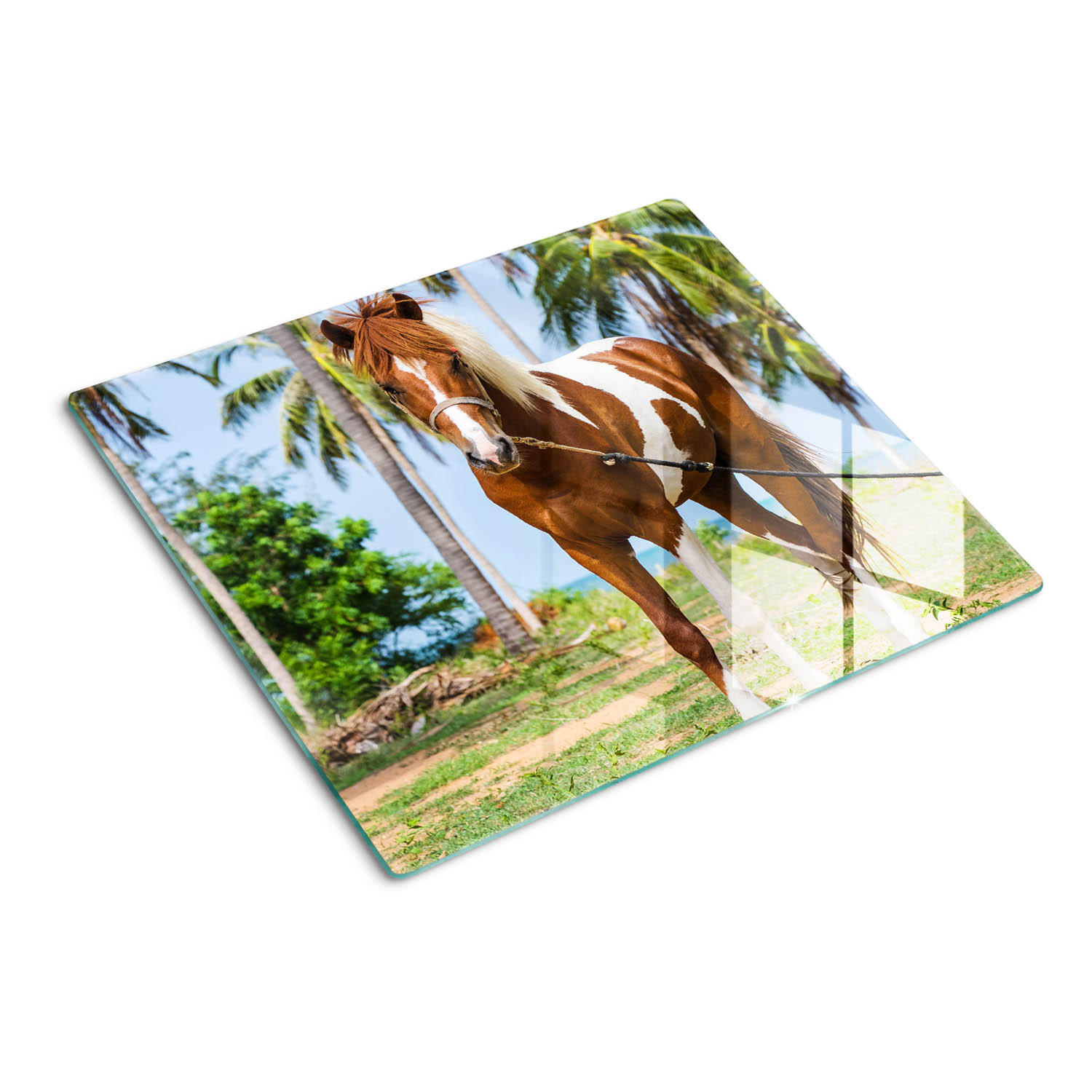 GLASPLATTE 60x52 cm Pinto-Pferd - Hellgrün, Glas (60/52cm) - TULUP