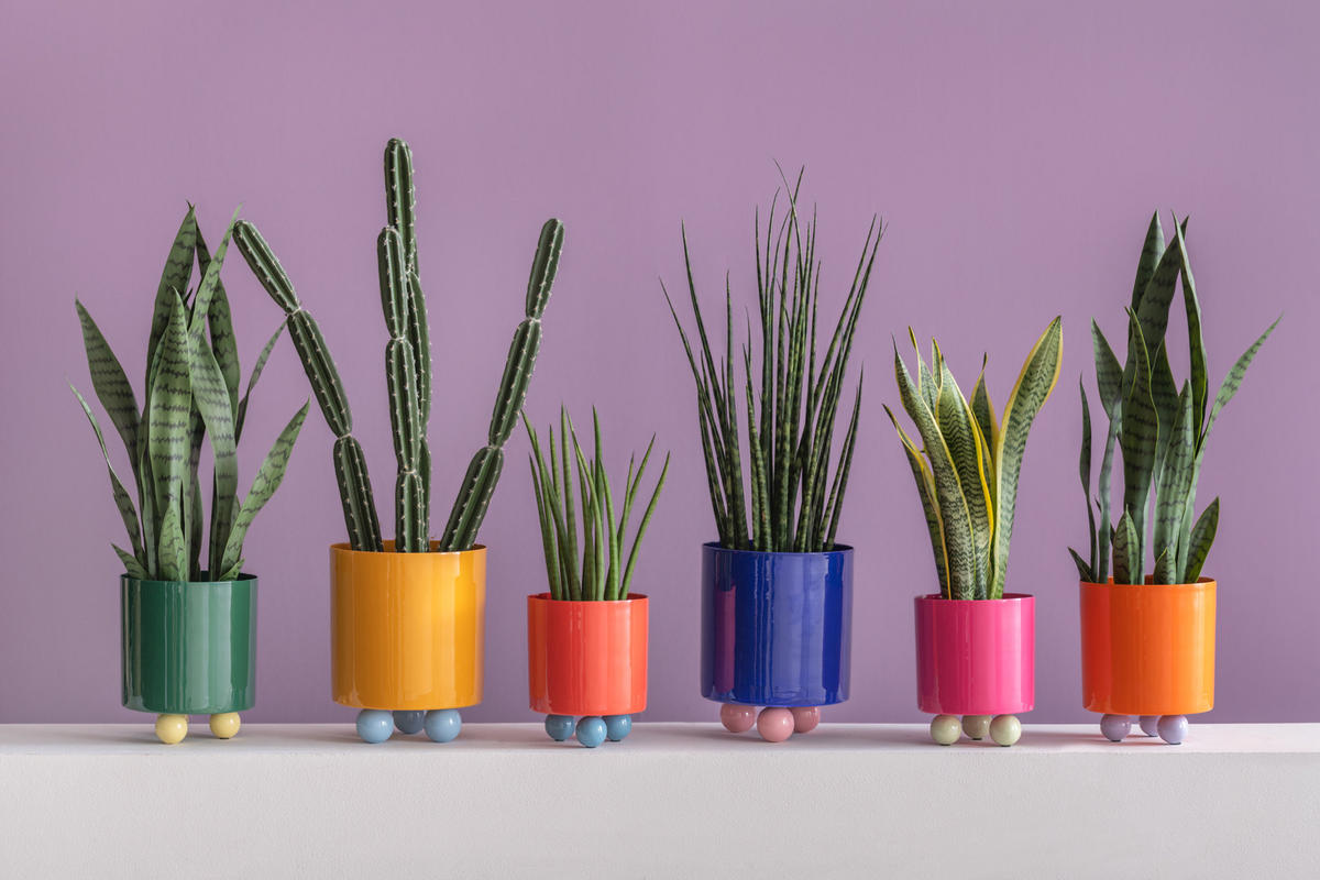 BLUMENTOPF Double Funky Rot 16/16/20 cm - Rot, Metall (20cm) - Present Time