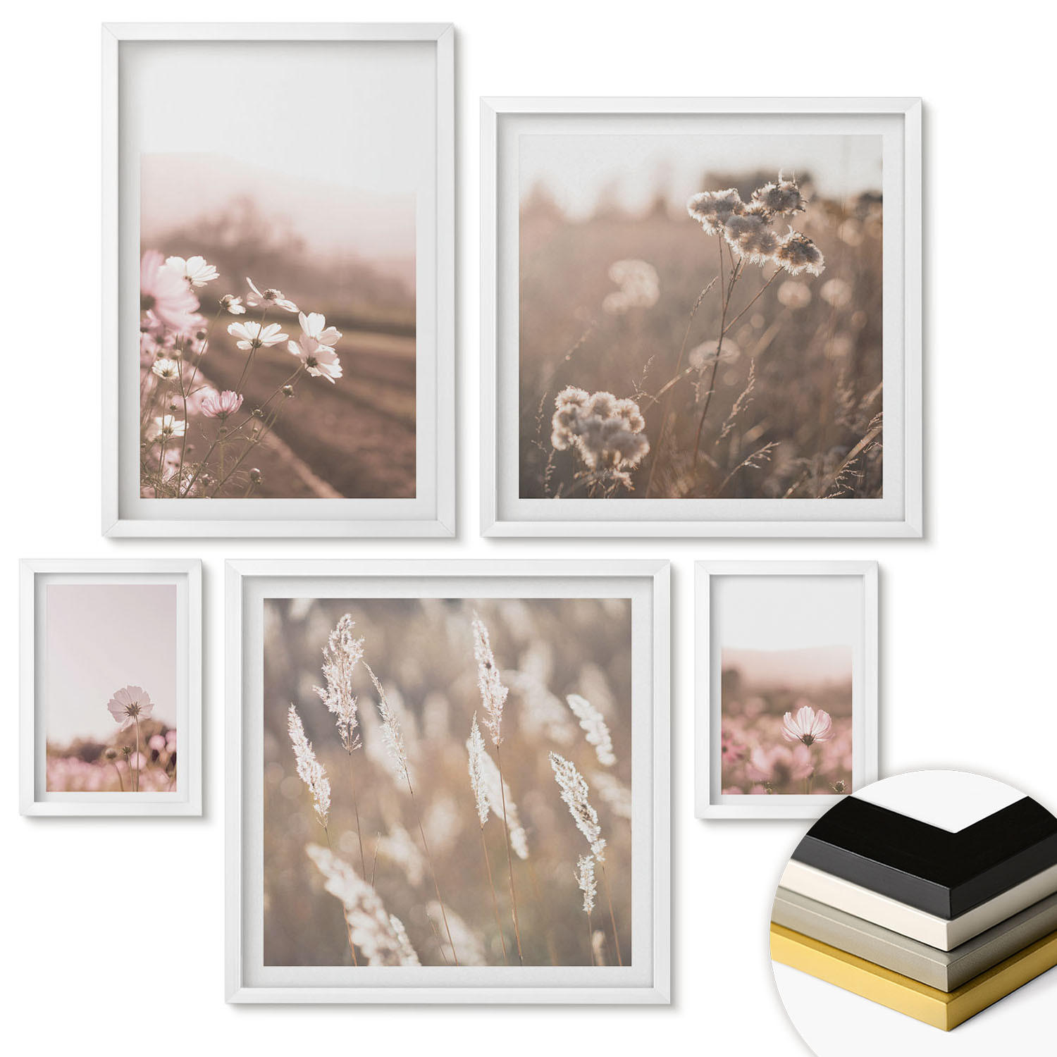 WANDBILDER 5er-Set - 50x50 cm & 20x30 cm & 40x60 cm Weißer Rahmen - Wildblumen auf den Wiesen im Sommer - Weiß, Kunststoff (40/60cm) - ArtPrintCave