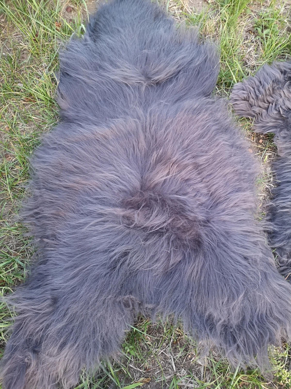 LAMMFELL Öko Schaffell grau langhaar 2. Wahl Teppich ca. 125 cm - Dunkelgrau/Grau, Fell (75/125cm) - Provellus