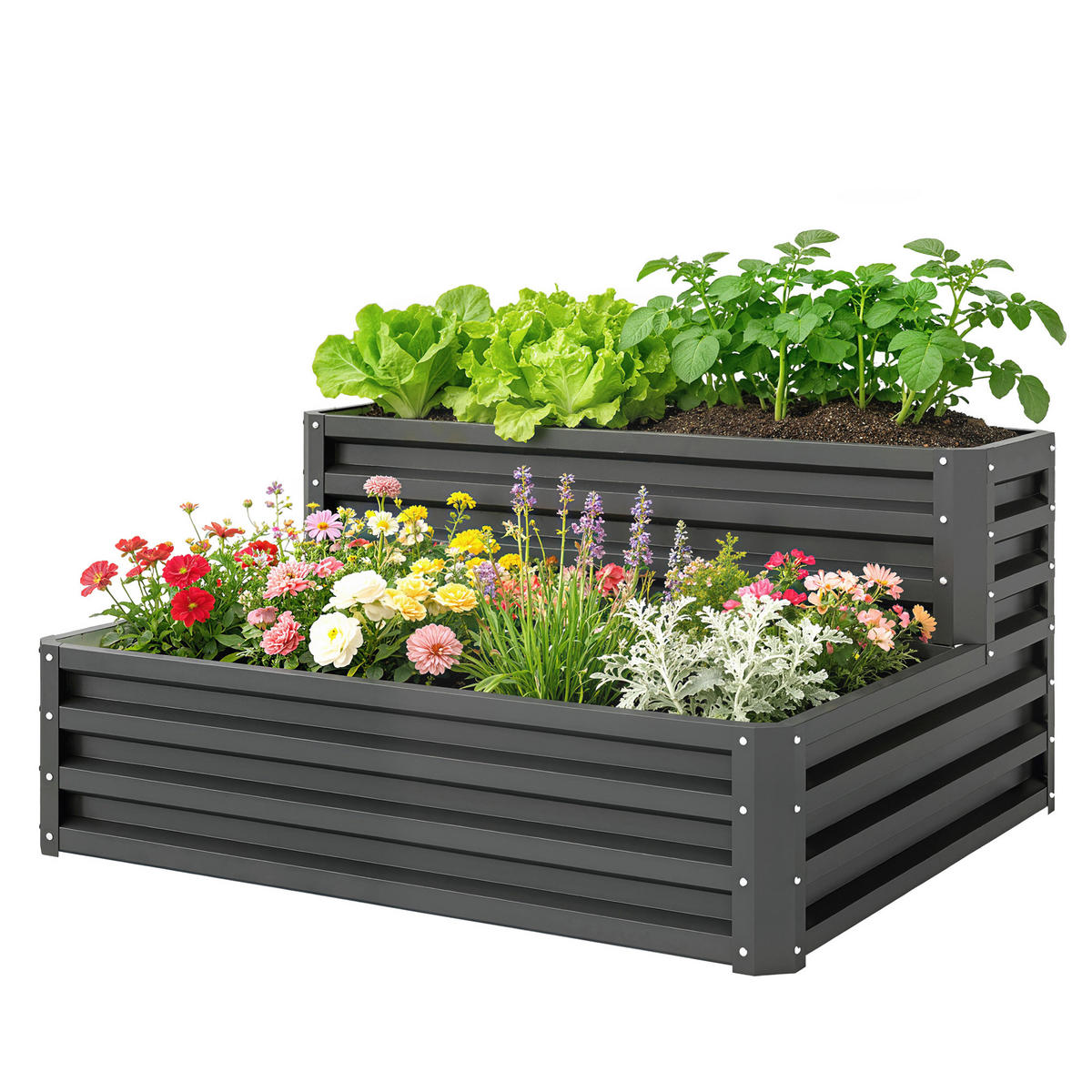HOCHBEET DE-12134 2-stufig, offener Boden, 120/101/58 cm Dunkelgrau - Dunkelgrau, Metall (120/58/101cm) - ComfortXL