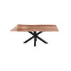 ESSTISCH FELINA - Beige/Schwarz, Holz/Metall (90/180/76cm) - SAM