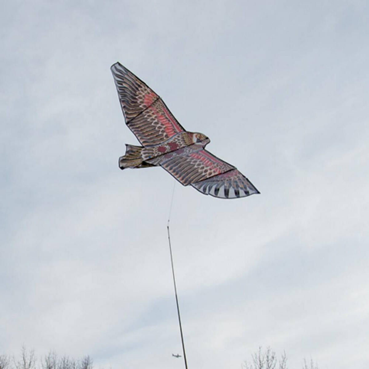 VOGELSCHEUCHE Ribimex - Multicolor, Kunststoff (175/117/8cm)