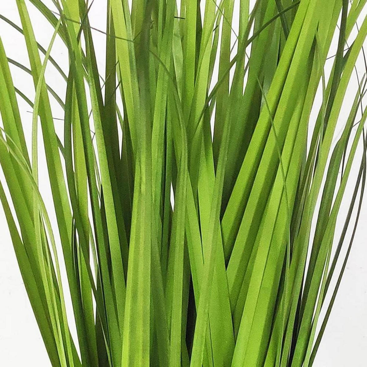 KÜNSTLICHES Gras 55 cm - Grün, Kunststoff (55cm)