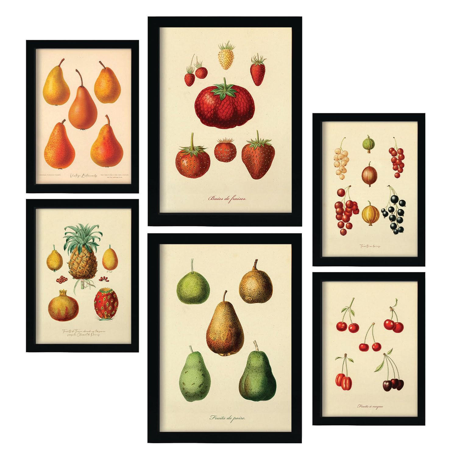 POSTER Set Mit 6 Früchte In Vintage A3 & A4 Rahmenlos - Klar, Papier (29/3cm) - Nacnic