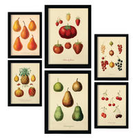 POSTER Set Mit 6 Früchte In Vintage A3 & A4 Rahmenlos - Klar, Papier (29/3cm) - Nacnic