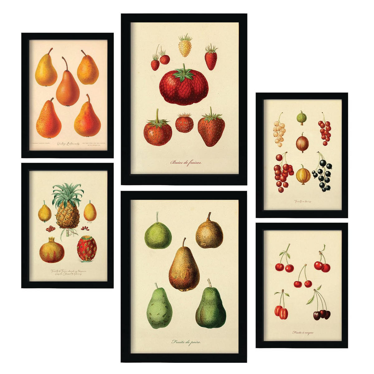 POSTER Set Mit 6 Früchte In Vintage A3 & A4 Rahmenlos - Klar, Papier (29/3cm) - Nacnic