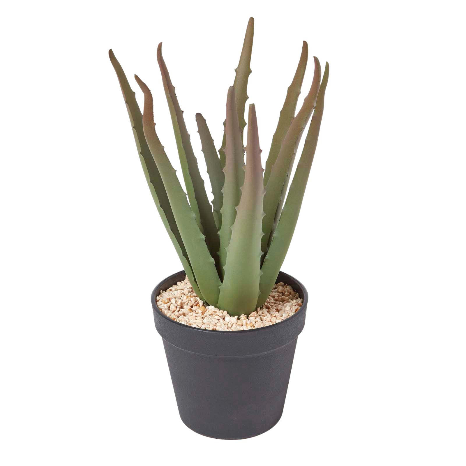 KUNSTPFLANZE Aloe vera im Deko-Topf, 30 cm - Grün, Kunststoff (30cm) - Homescapes