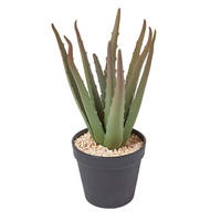 KUNSTPFLANZE Aloe vera im Deko-Topf, 30 cm - Grün, Kunststoff (30cm) - Homescapes