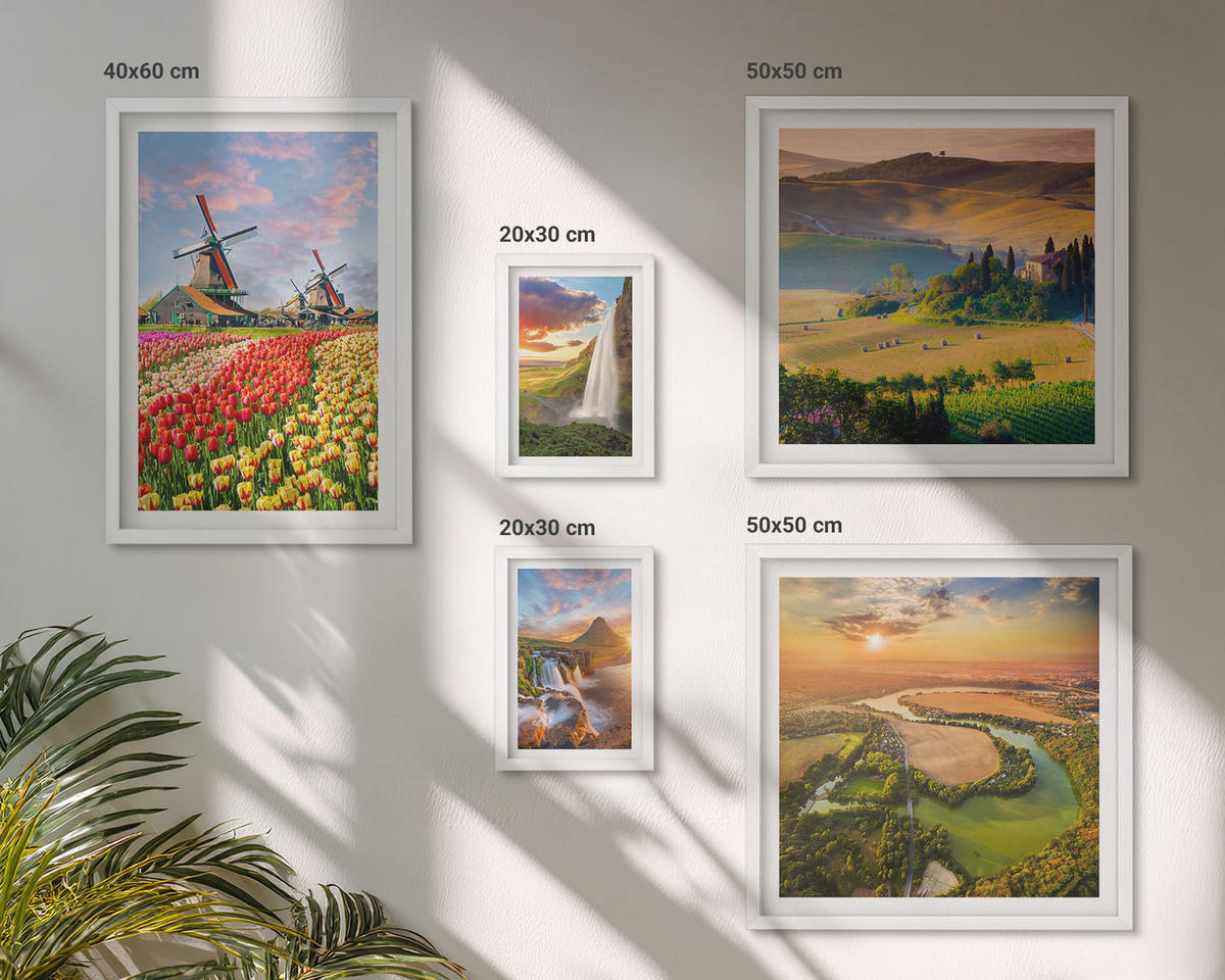 BILDER SET 5er Set - 50x50 cm & 20x30 cm & 40x60 cm Weißer Rahmen - Whisky, Wein, Champagner, Kaffee, Alkohol - Weiß, Kunststoff (40/60cm) - TULUP