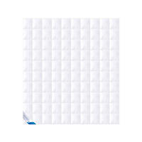 GANZJAHRESBETTDECKE PREMIUM Gänsedaunen normal - Weiß, Naturmaterialien/Textil (200/200cm) - Böhmerwald