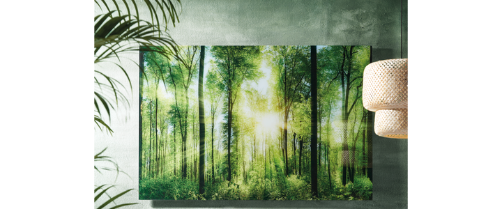 Bilder Wandbilder ǀ Schone Bilder Fur Ihre Wande Xxxlutz