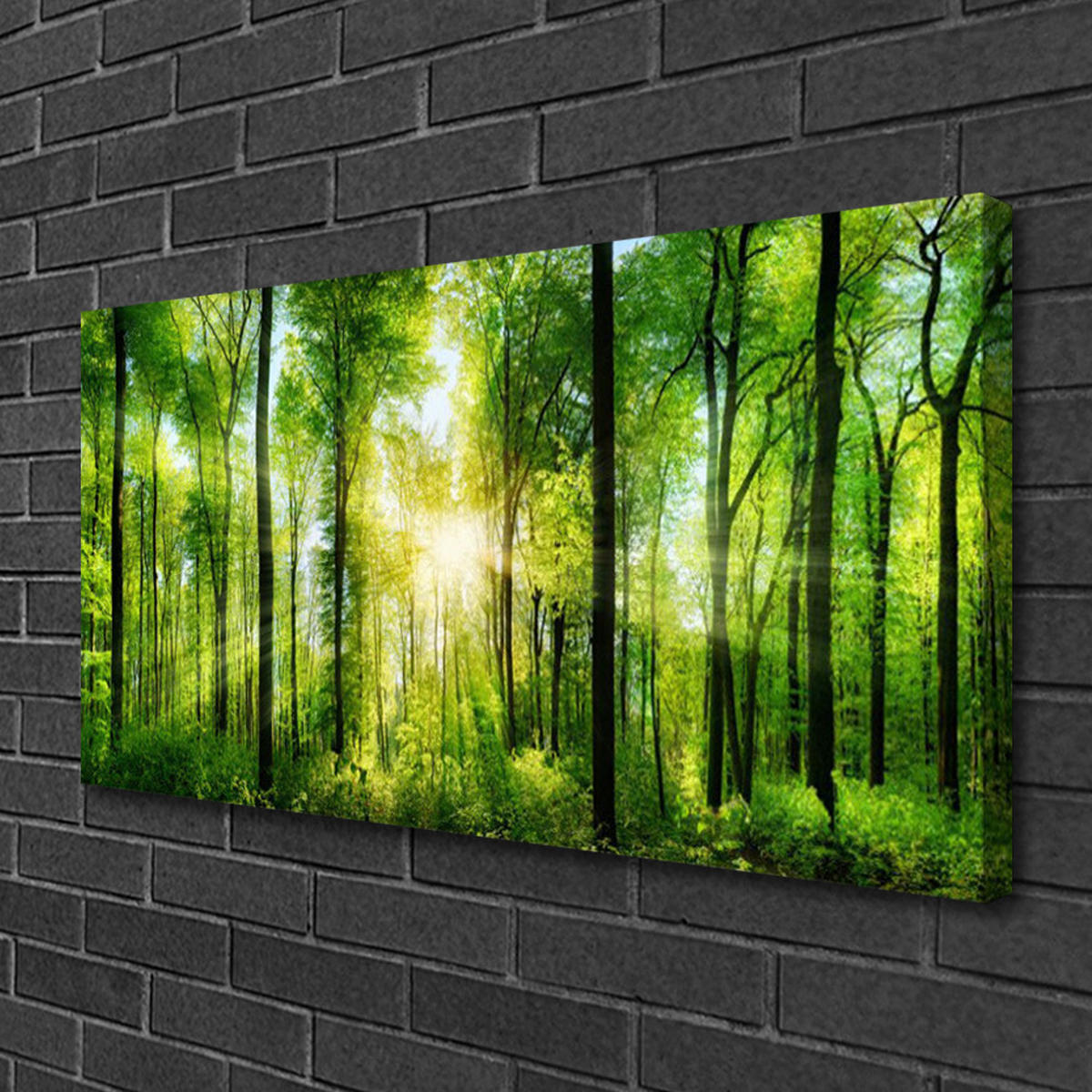 LEINWANDBILD 100x50 cm Sonnenstrahlen im Wald - Braun/Grün, Textil (100/4cm) - TULUP