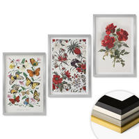 WANDBILDER 3er Set - 40x60 cm Silberner Rahmen - Schmetterlinge, Blumen, rote Rosen - Silberfarben, Kunststoff (40/60cm) - ArtPrintCave