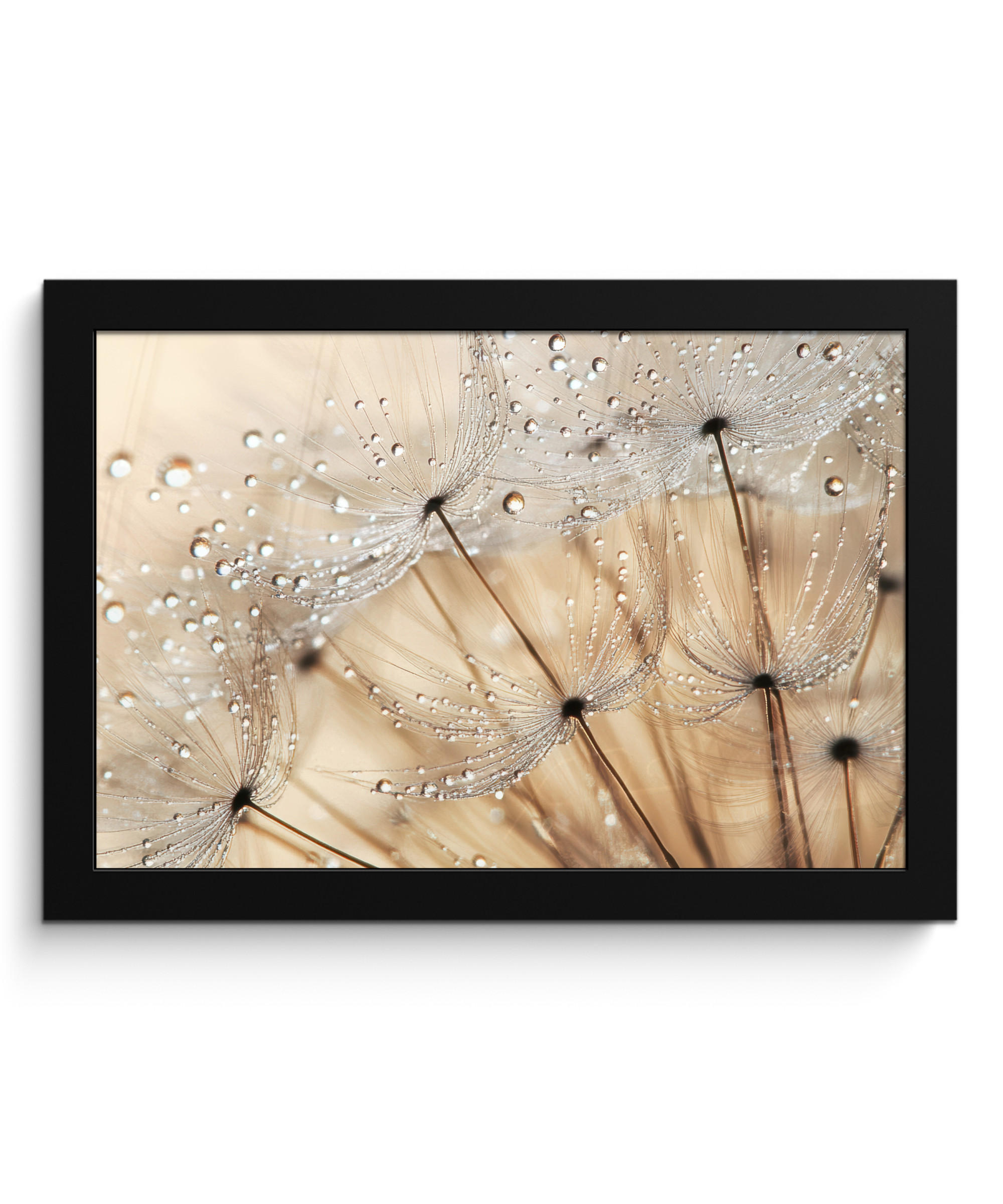 POSTER MIT RAHMEN Löwenzahn - Abstrakt - Natur - Beige 30x20 cm - Braun, Papier (30/20cm) - MuchoWow