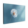 LEINWANDBILD Löwenzahn - Wind - Blau XXL 150x100 cm - Blaugrau, Textil (150/100cm) - MuchoWow