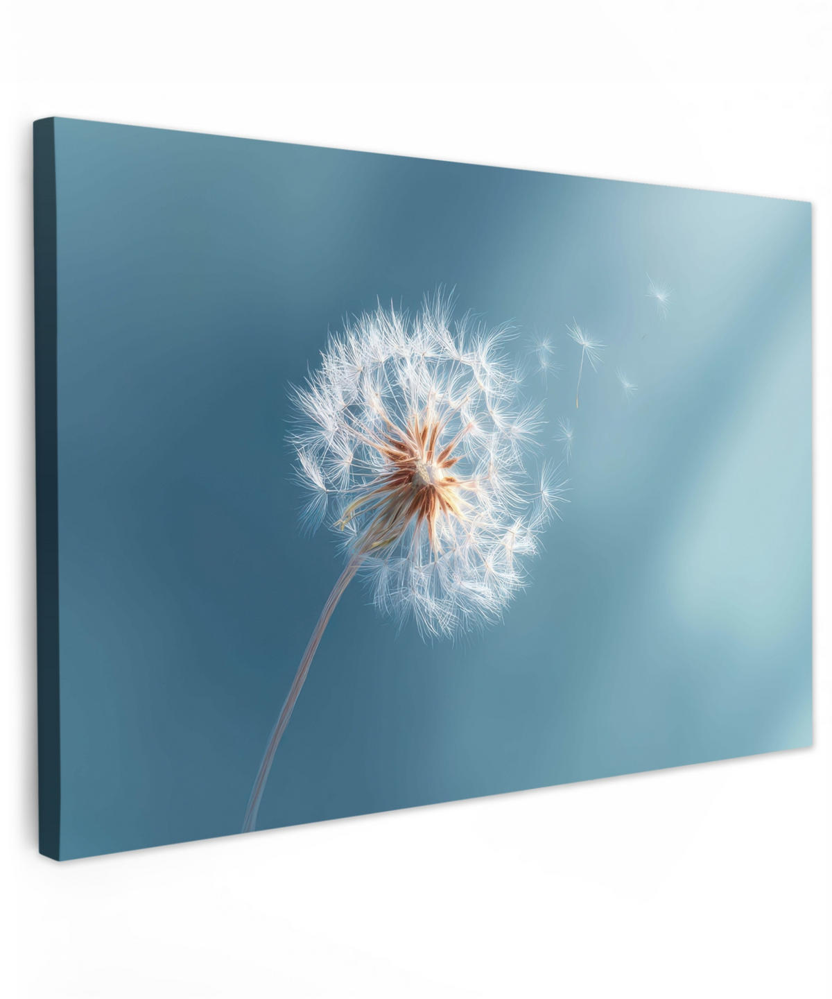 LEINWANDBILD Löwenzahn - Wind - Blau Wohnzimmer Groß 120x80 cm - Blaugrau, Textil (120/80cm) - MuchoWow