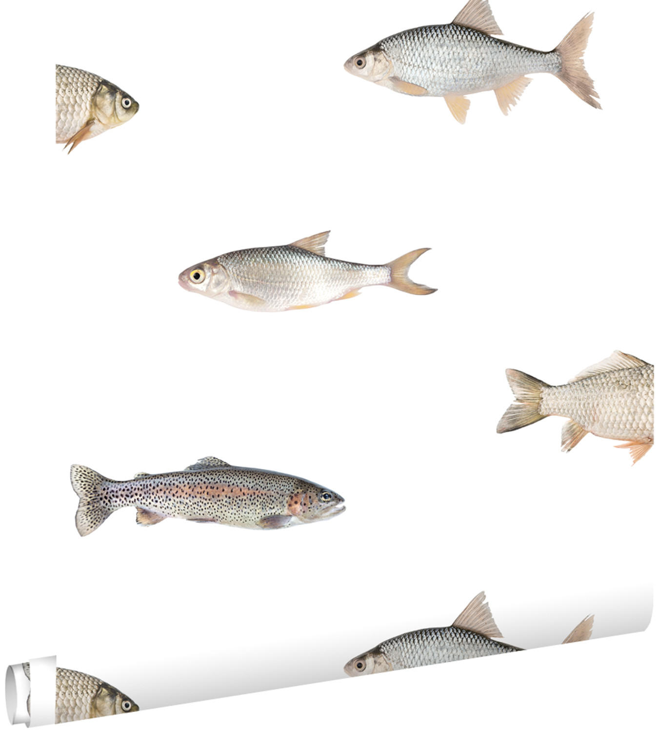 TAPETE Fische 50 x 900 cm - Grau, Papier (50/900cm) - ESTAhome