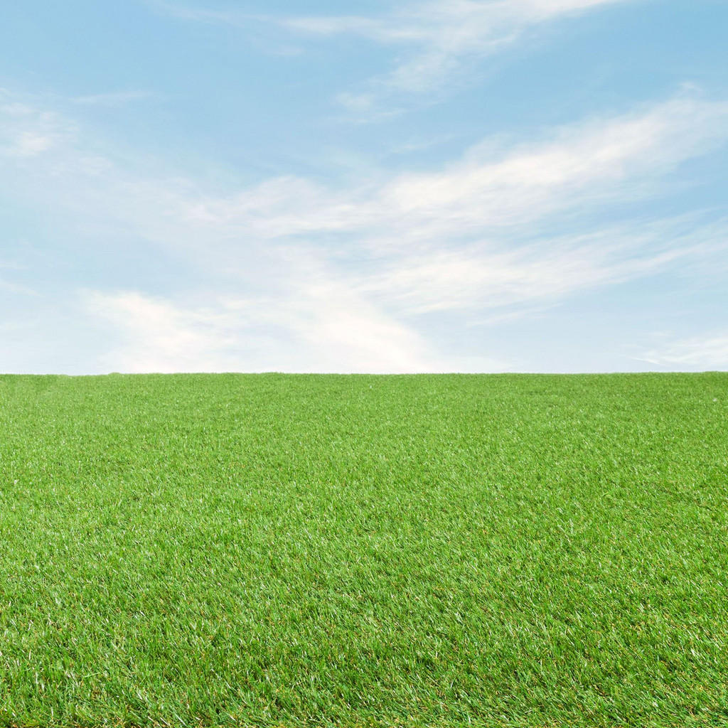 Thumbnail - Steffensmeier Rasenteppich, Grün, Kunststoff, Rechteckig, 100x200 cm, UV-beständig, Gartenzubehör, Terrassen- & Balkonbö...
