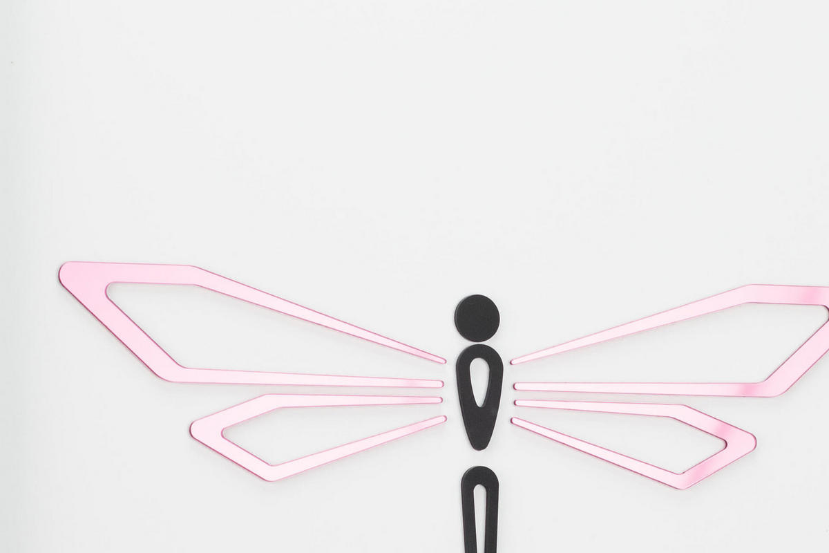 WANDBILD Rosa 40/60 cm - Pink/Schwarz, Glas (1/60cm) - KUNSTLOFT