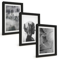 BILDER SET 3er Set - 20x30 cm Schwarzer Rahmen - Waldnebelporträt Baum Löwenzahn - Schwarz, Kunststoff (20/30cm) - TULUP