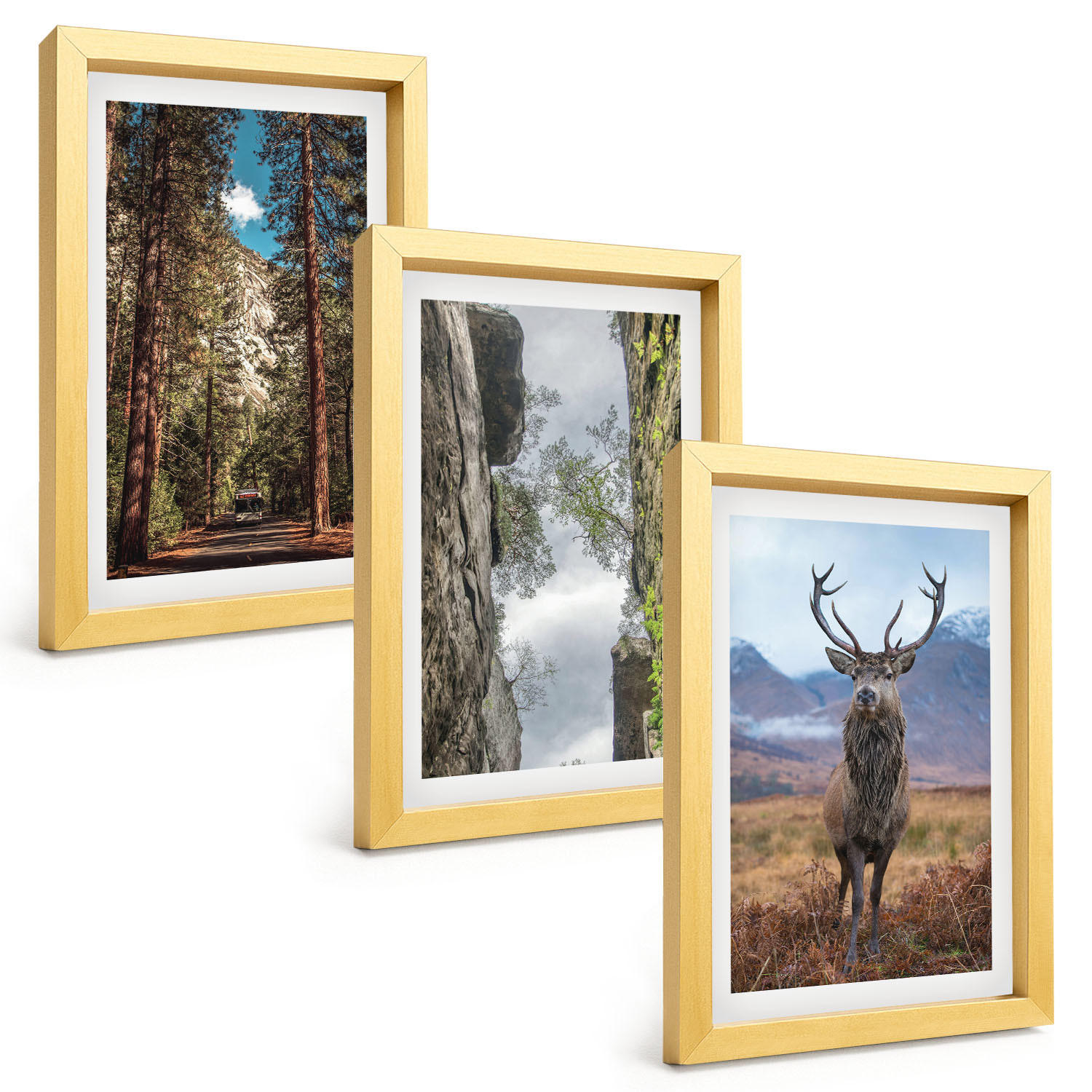 BILDER SET 3er Set - 20x30 cm Goldrahmen - Straße Wald Berge Hirsch Natur - Goldfarben, Kunststoff (20/30cm) - TULUP