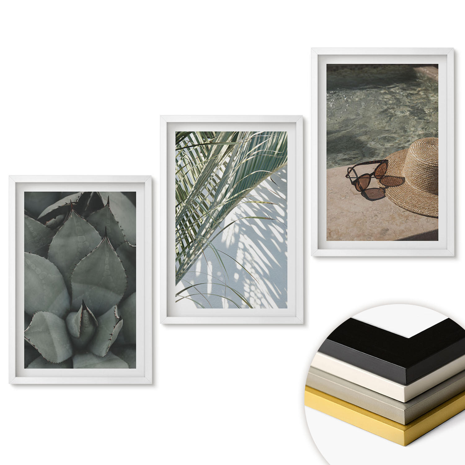 WANDBILDER 3er-Set - 40x60 cm Weißer Rahmen - Tropische Pflanzen für den Urlaub - Weiß, Kunststoff (40/60cm) - ArtPrintCave