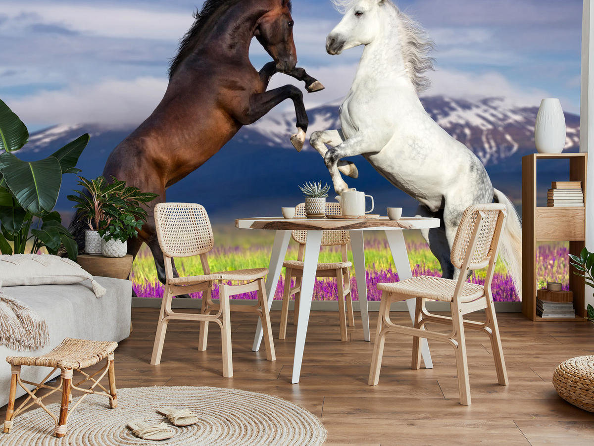 FOTOTAPETA Pre Jedáleň Kone Levanduľové Pole Hory Provensálsko 350 x 256 cm - hnedá/čierna, papier (350/256cm) - Muralo