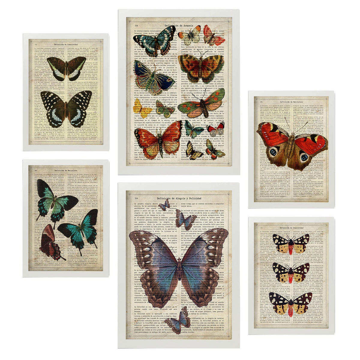 POSTER Set Mit 6 Schmetterlinge Vintage Papier Stil Plakate Mit Enzyklopädie Hintergründen Bunte Schmetterlinge Innenarchitektur A3 & A4 Weißer Rahmen - Weiß, Papier (29/3cm) - Nacnic