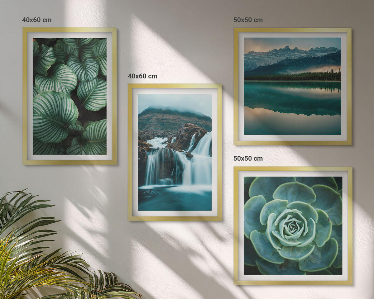 WANDBILDER 4er Set - 50x50 cm & 40x60 cm Goldrahmen - Nahaufnahmen von Blättern sukkulenter Pflanzen - Goldfarben, Kunststoff (50/50cm) - ArtPrintCave