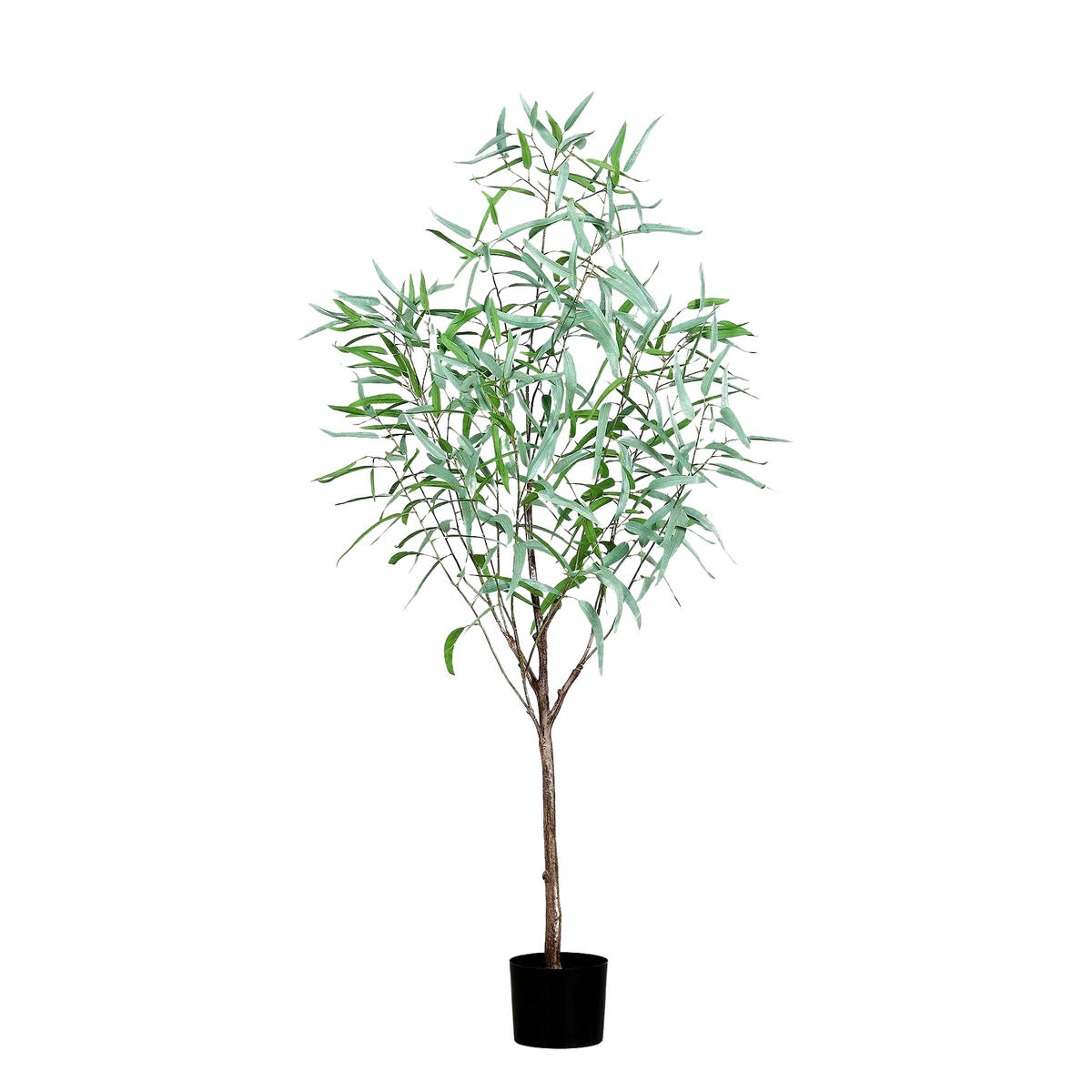 EUKALYPTUS Künstlicher Eukalyptus - Manfred 165 cm - Grün, Kunststoff (165cm) - aplanta