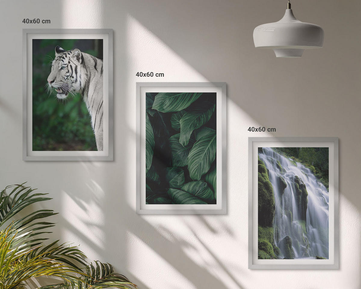 BILDER SET 3er Set - 40x60 cm Silberner Rahmen - Wasserfall aus weißen Tigerblättern - Silberfarben, Kunststoff (40/60cm) - TULUP