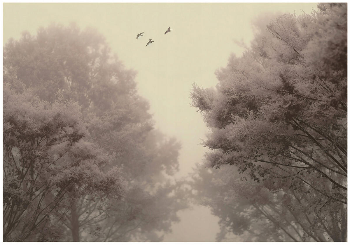 FOTOTAPETE Wald Bäume Beige 300x210 cm - Multicolor, Papier (300/210cm) - Wallarena