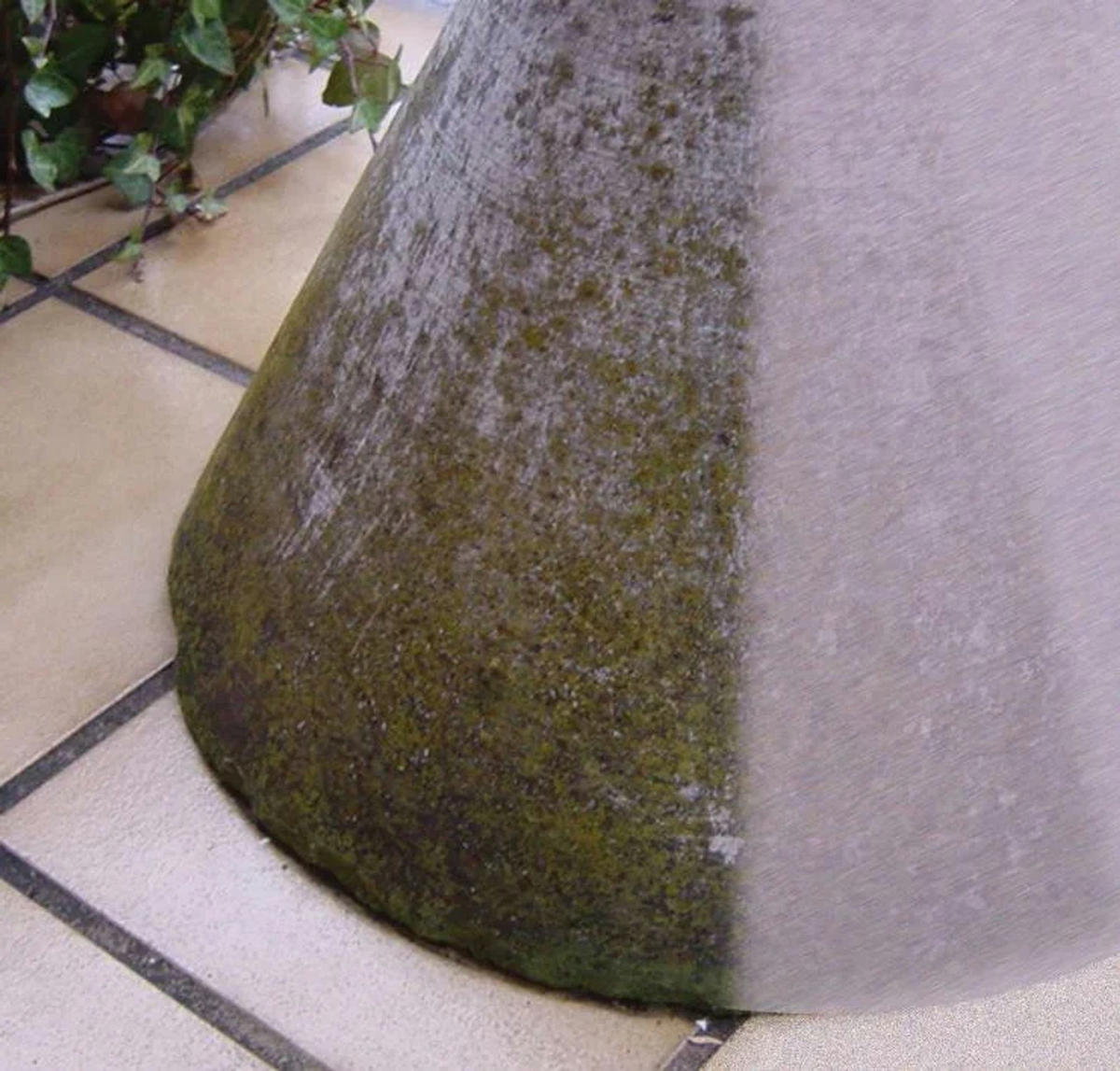 UNKRAUTVERNICHTER, hochwirksam, nachhaltig, 650 ml - Grün, Kunststoff (5/29/10cm) - Westfalia