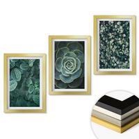 WANDBILDER 3er Set - 20x30 cm Goldrahmen - Sukkulenten - Goldfarben, Kunststoff (20/30cm) - ArtPrintCave