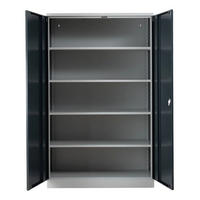 STAHLSCHRANK Bee mit 6 lackierten Fachböden 195x120x50 cm Korpusfarbe Lichtgrau Frontfarbe Anthrazit - Anthrazit, Metall (120/195/50cm)