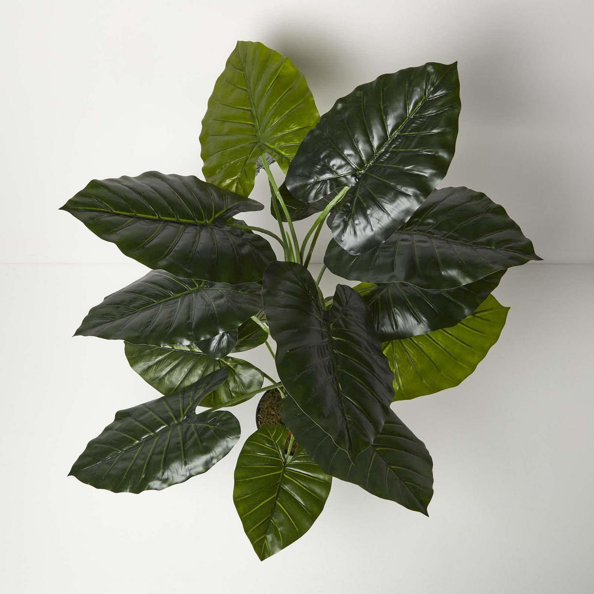 KUNSTPFLANZE Taro, 90 cm - Grün, Kunststoff (90cm) - Homescapes