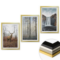 WANDBILDER 3er Set - 40x60 cm Goldrahmen - Waldlandschaften, wilde Natur - Goldfarben, Kunststoff (40/60cm) - ArtPrintCave
