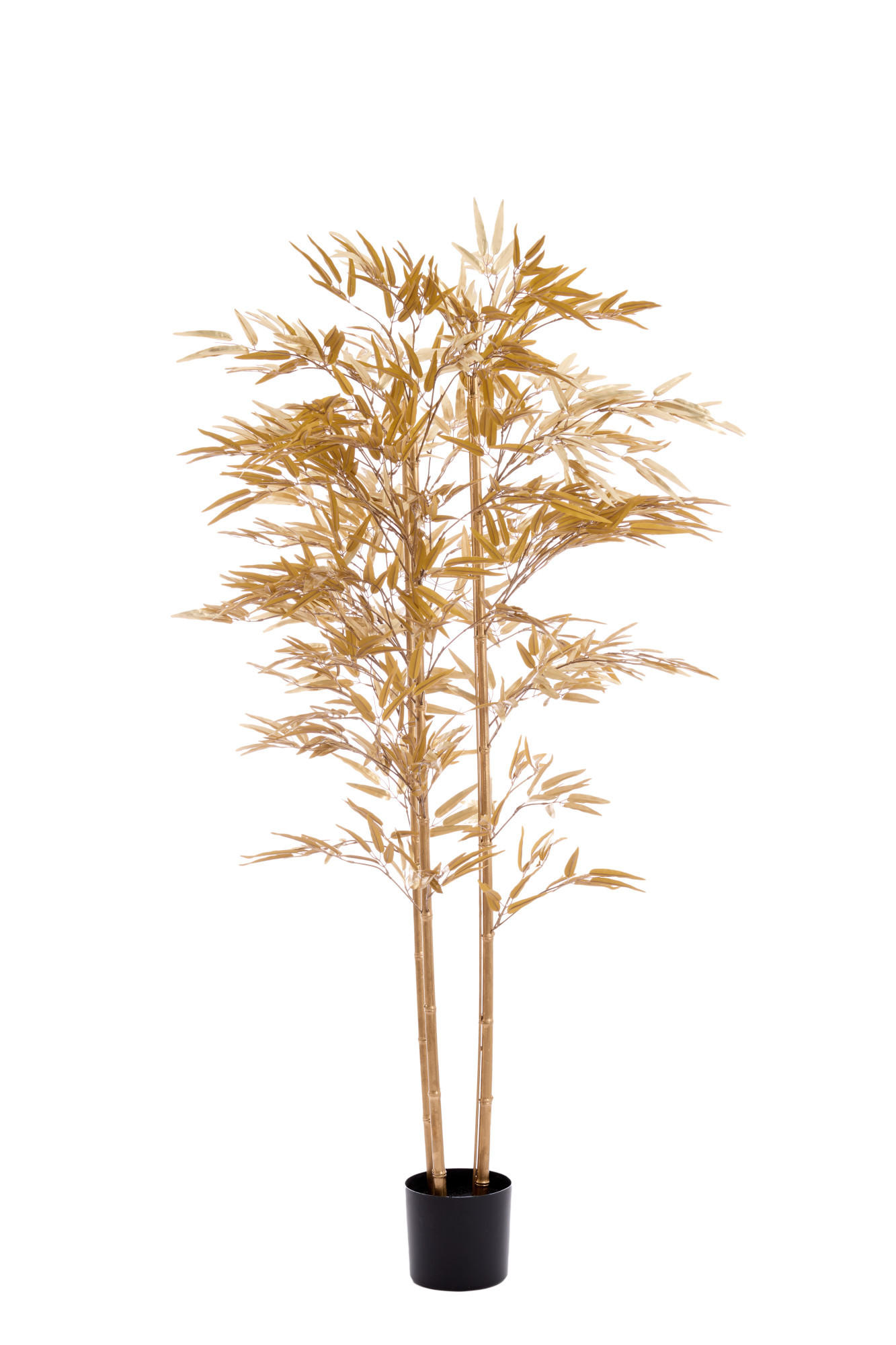 TOPF Bambus Gold 180/100/180 cm - Goldfarben, Kunststoff (180cm) - Light & Living