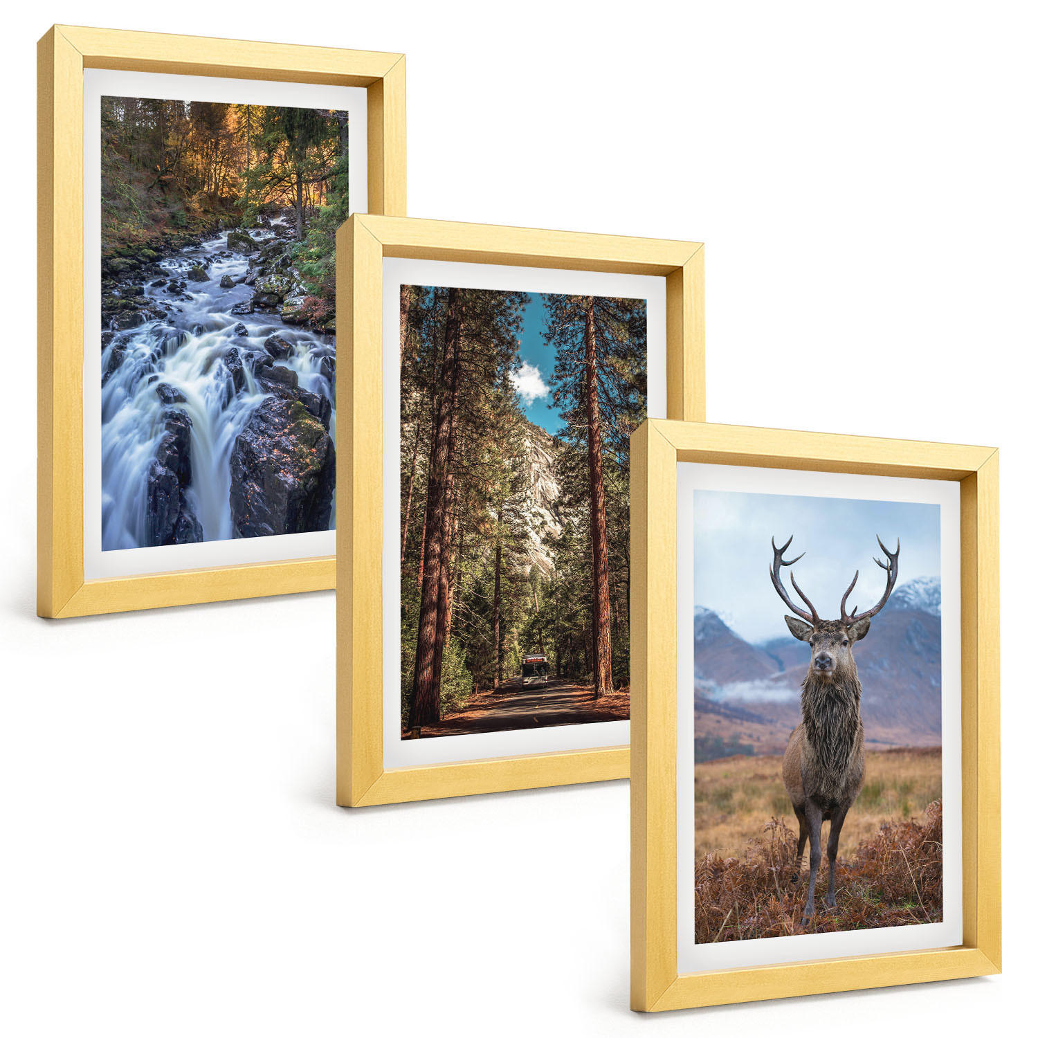 BILDER SET 3er Set - 20x30 cm Goldrahmen - Wasserfall Wald Berge Hirsch Natur - Goldfarben, Kunststoff (20/30cm) - TULUP
