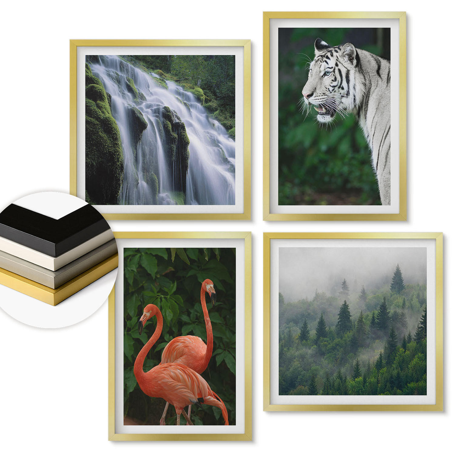 ArtPrintCave Wandbilder Gold 50x50 cm